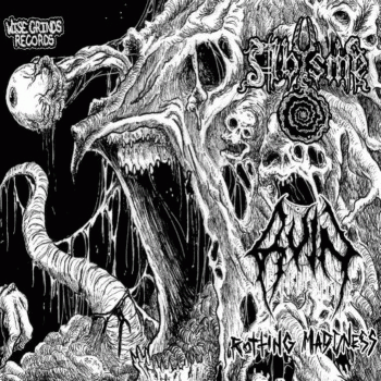 Ruin (USA-3) : Rotting Madness